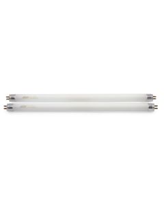 Bulb F8t5/cw 8 Watt 12, 2/card