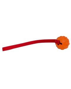 Valterra A102002 Float N' Fetch
