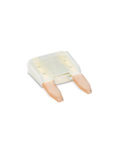 Fuse; Mini; 2 Amp; Slow Blow; Set of 2
