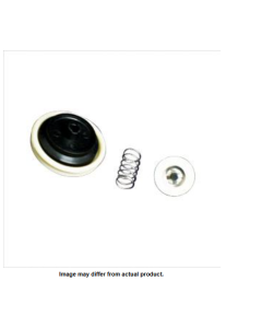 Check Valve