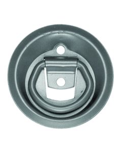 Surface Mounted D- Ring