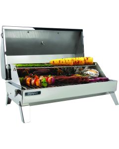 Barbeque Grill; Propane; 316 Square Inch Grilling Surface; Rectangular; Polished; Stainless Steel
