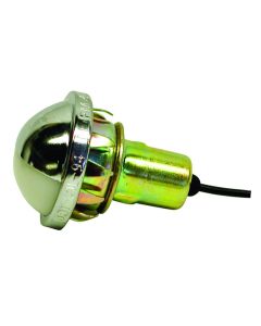 Chrome License Plate Light