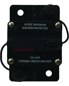 Circuit Breaker; 100 Amp; Manual And Switchable Reset; Single
