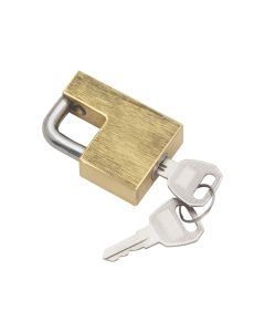 Trailer Coupler Lock; Towpower; Stainless Steel; With 2 Keys
