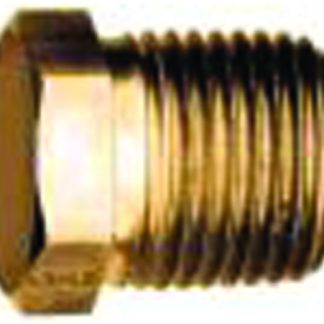 1/2" Brass Pipe Plugs